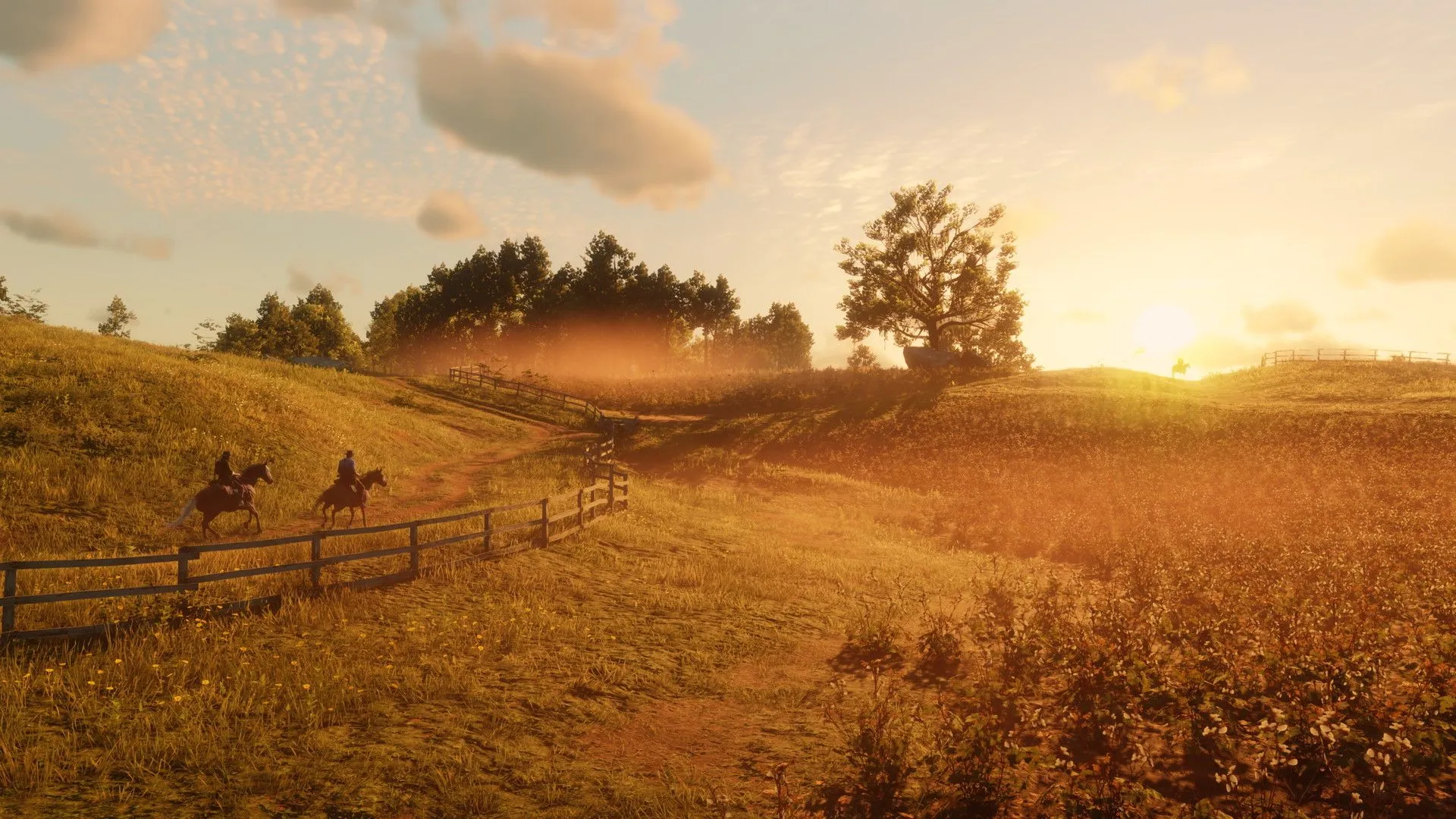 Red Dead Redemption 2 field Red Dead Redemption 2 field