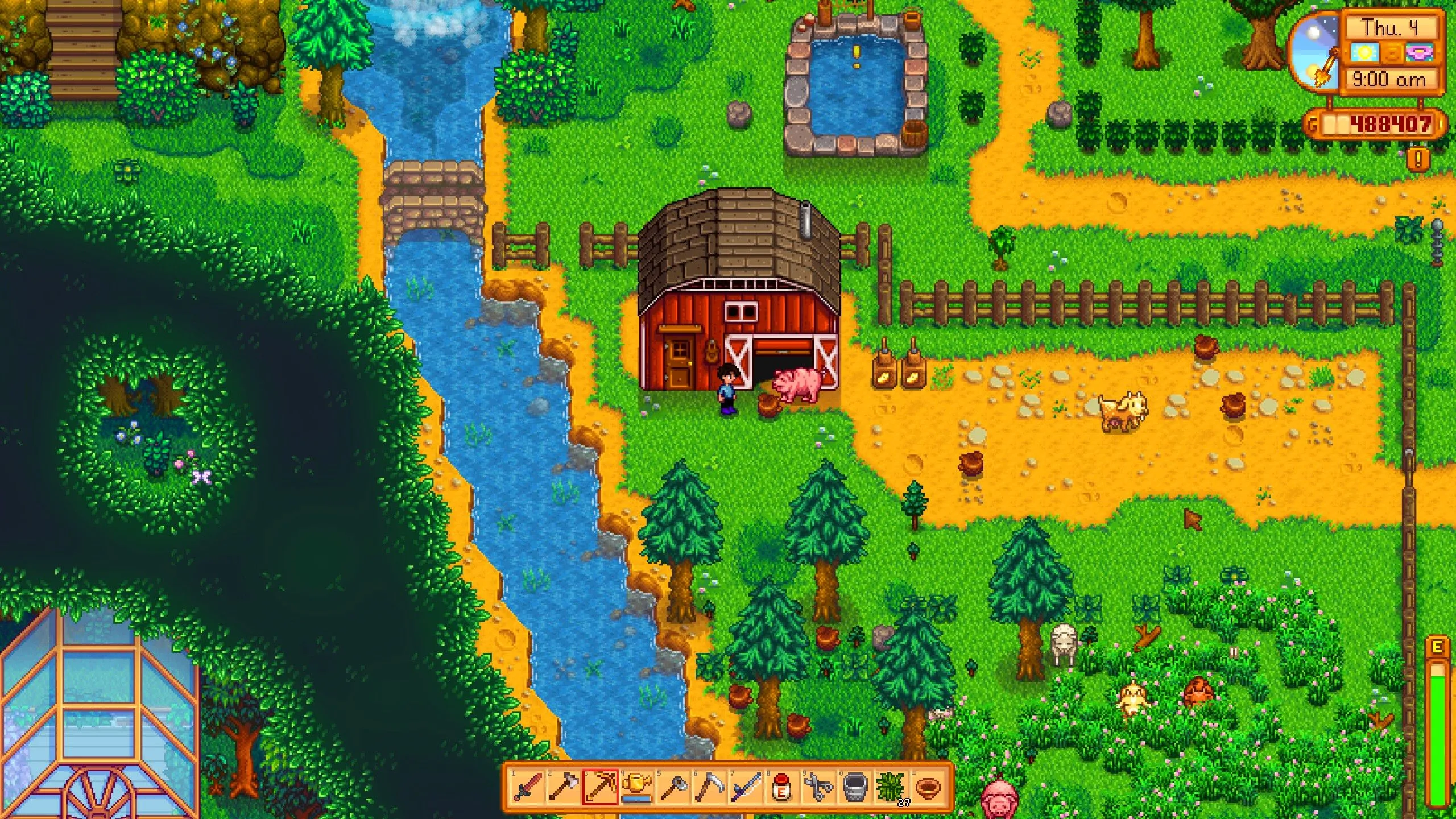 Watching Pig foraging for Truffles